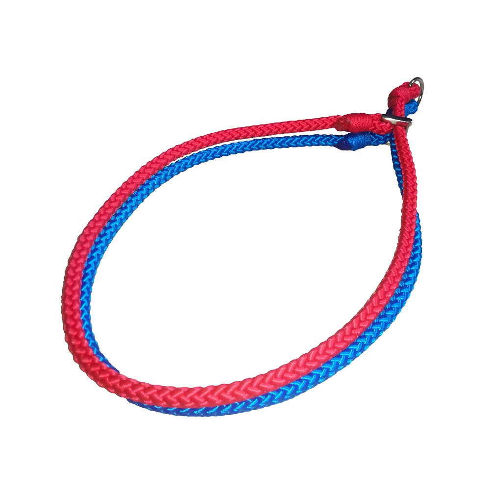 červeno-modrý obojek_1